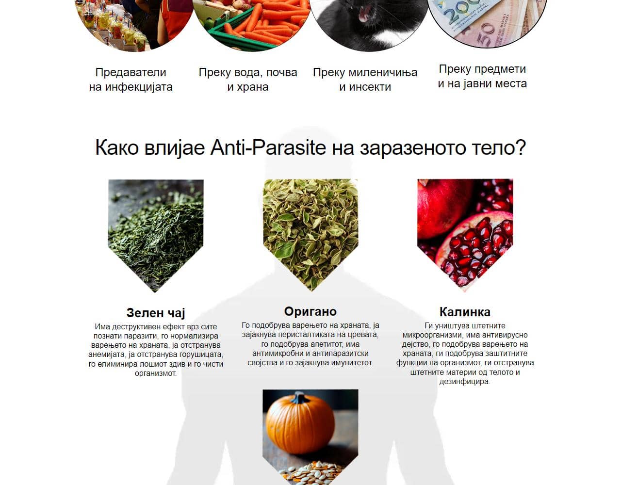 Anti-Parasite 4